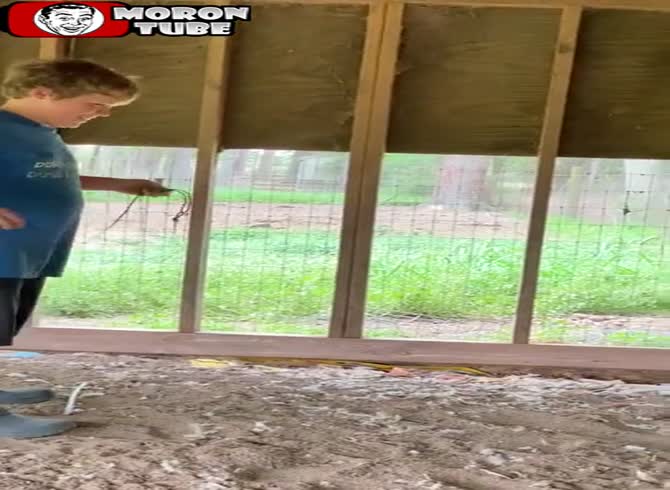 Video :This young youngster, who is quite brave, recently caught a possibly harmful snake (Texas)
